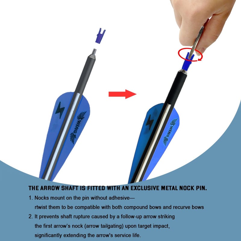 e5e10 31inch Carbon Arrow Archery Targeting Practice Hunting Arrows for Compound & Recurve Bow with Removable Tips(Pack of 12) - Image 3